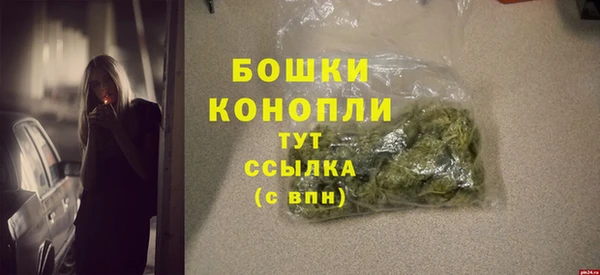 прущие грибы Бронницы