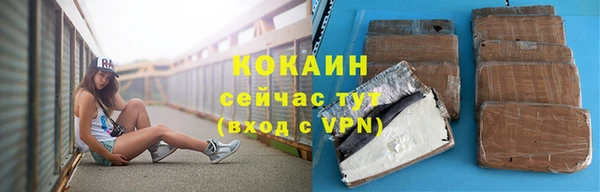 прущие грибы Бронницы