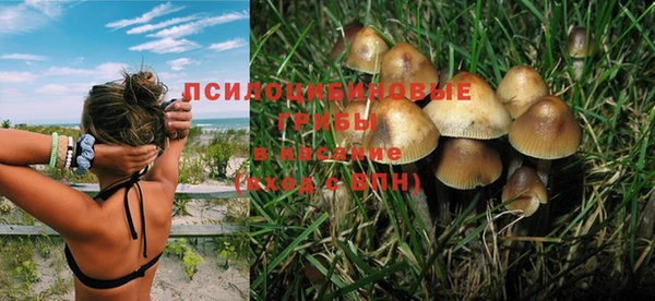 прущий лед Бородино