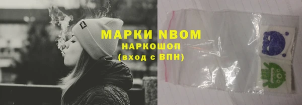 прущий лед Бородино