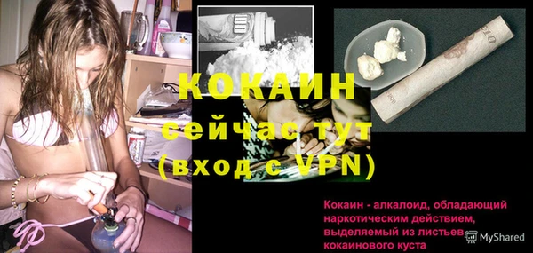 прущие грибы Бронницы