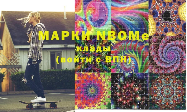прущие грибы Бронницы