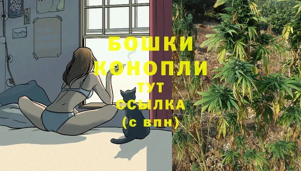 прущие грибы Бронницы