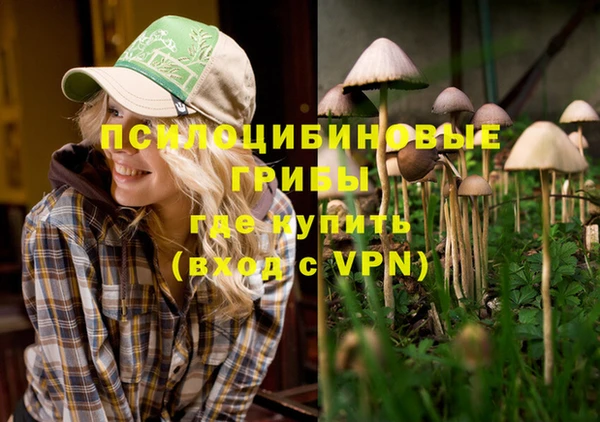 2c-b Верхнеуральск