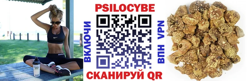 Галлюциногенные грибы Cubensis  Кимры 